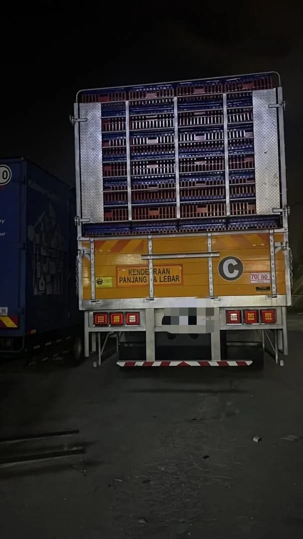 Hino Chicken Lorry | Used Commercial Truck - Image 5