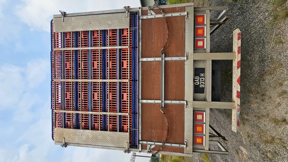 Hino Chicken Lorry | Used Commercial Truck - Image 7