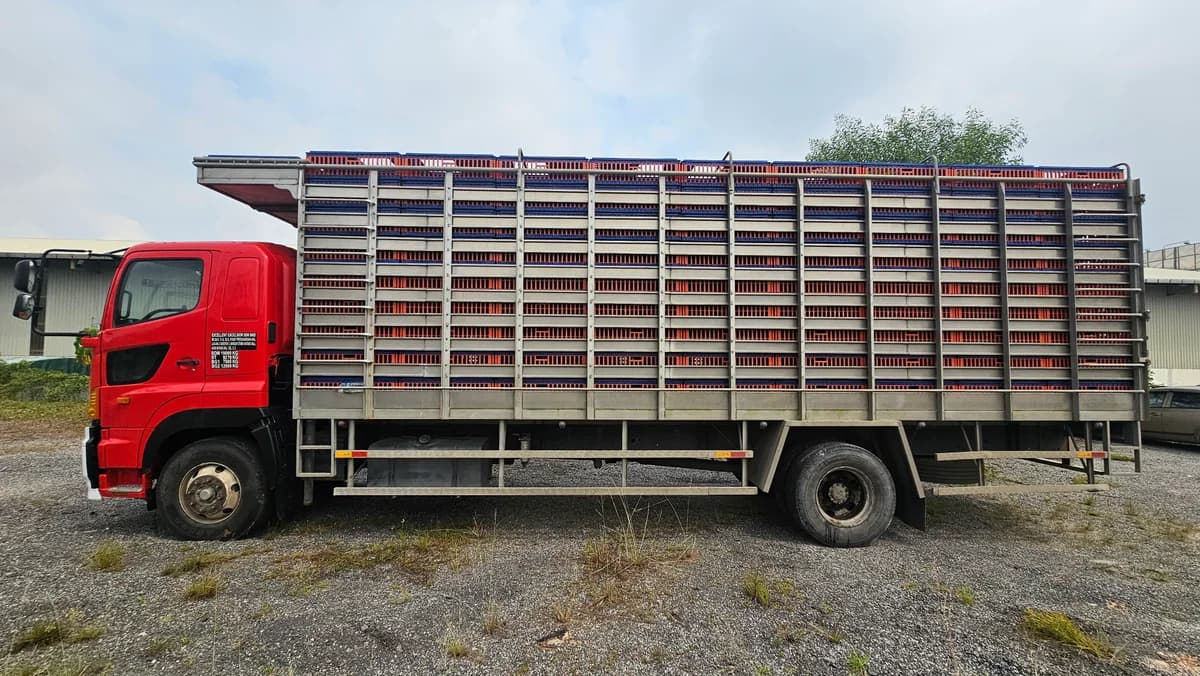 Hino Chicken Lorry | Used Commercial Truck - Image 10