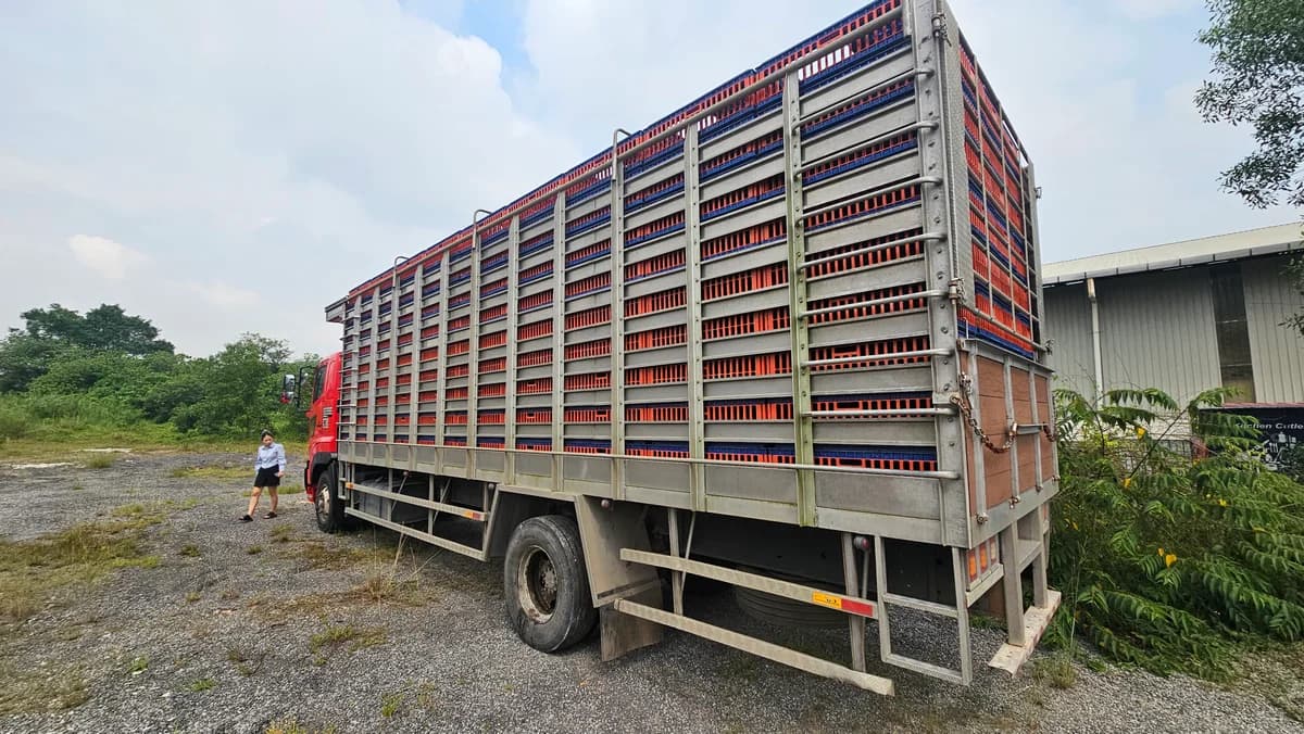 Hino Chicken Lorry | Used Commercial Truck - Image 9