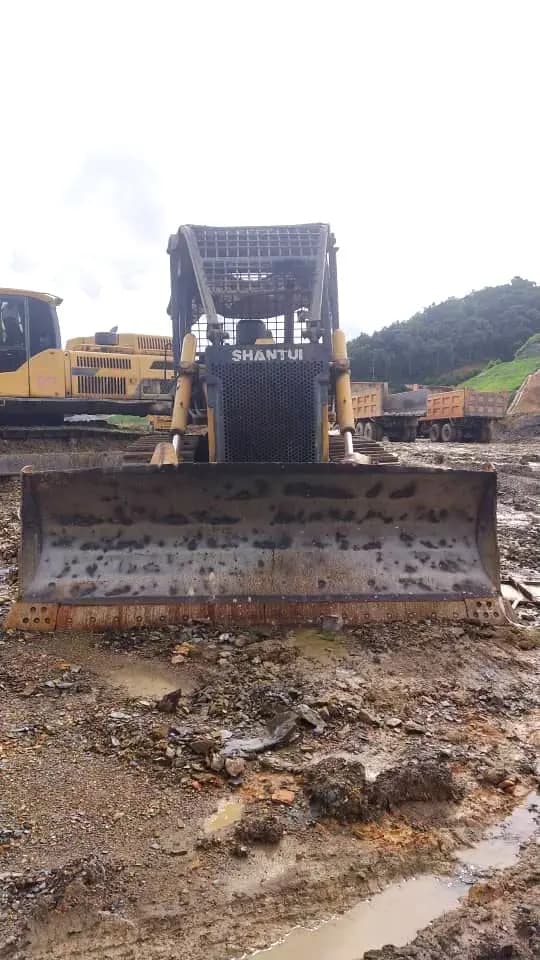 2017 Shantui SD16TF Forest Bulldozer | BD56 - Image 4