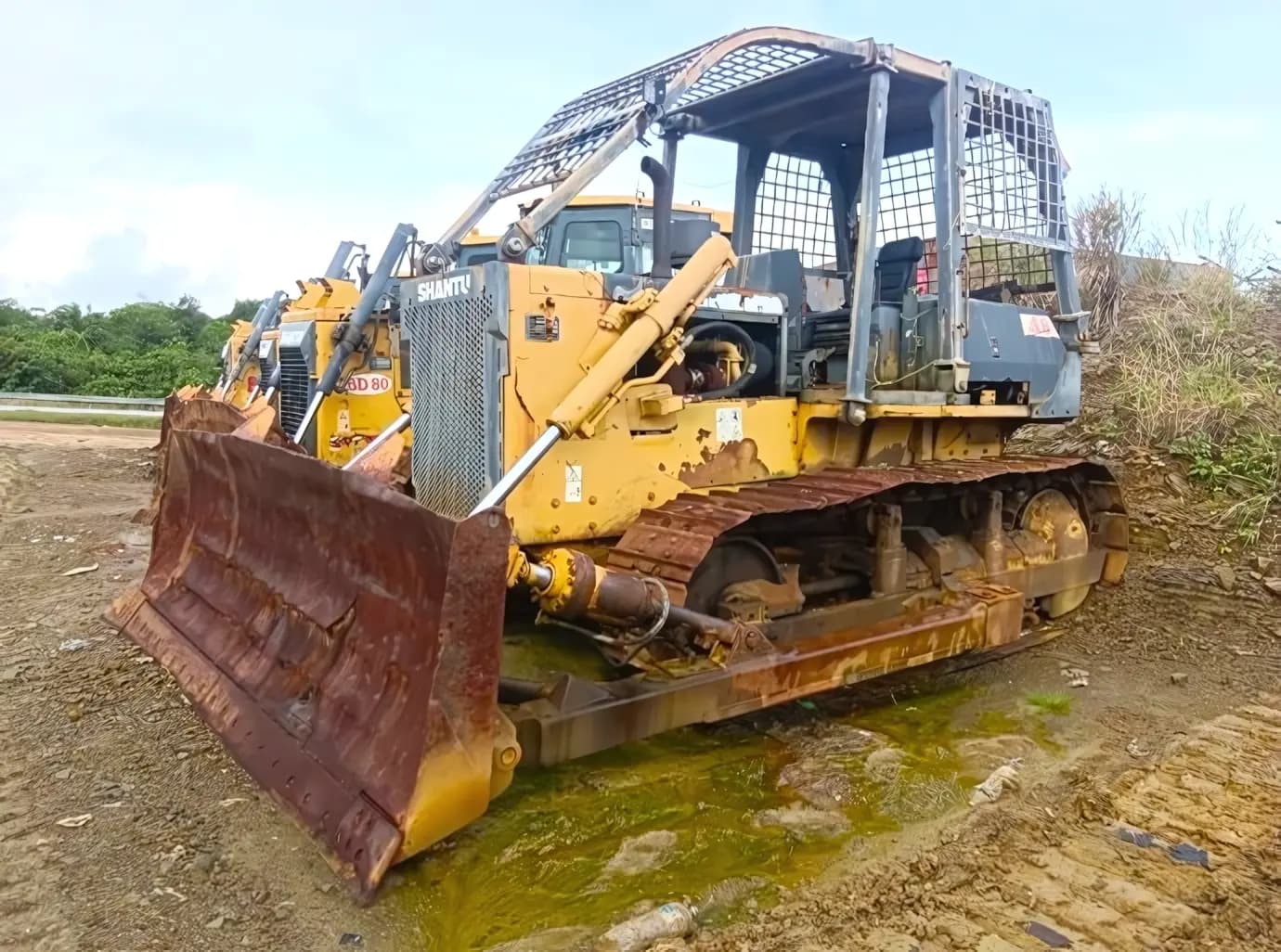 2017 Shantui SD16TF Forest Bulldozer | BD58 - Image 1